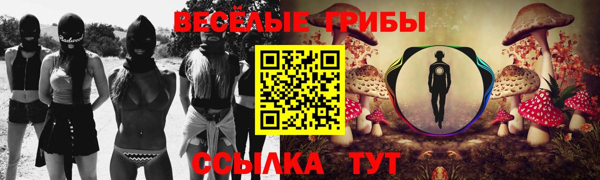 Новороссийск  Галлюциногенные грибы GOLDEN TEACHER  Вход с VPN 