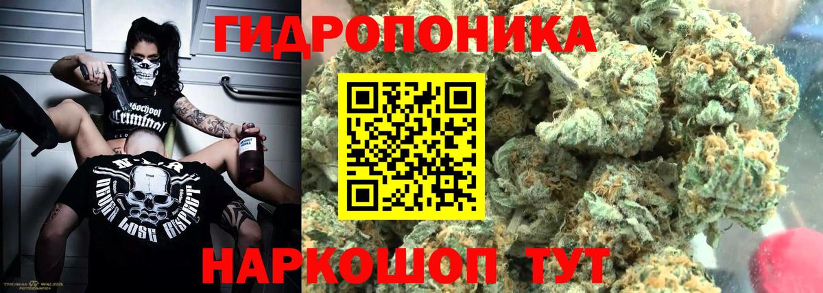 МАРИХУАНА Bruce Banner Новороссийск